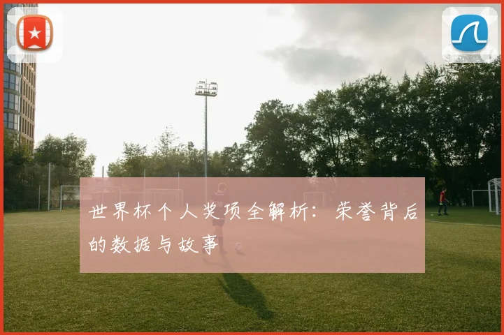 世界杯个人奖项全解析：荣誉背后的数据与故事