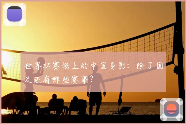 世界杯赛场上的中国身影:除了国足还有哪些赛事?