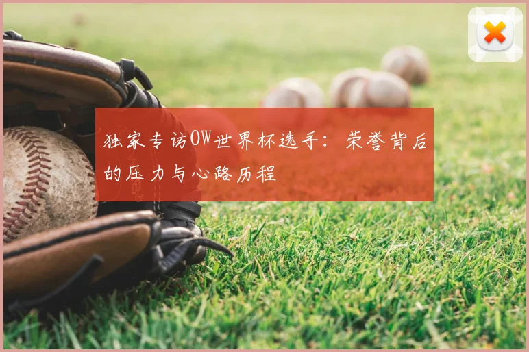 独家专访OW世界杯选手：荣誉背后的压力与心路历程
