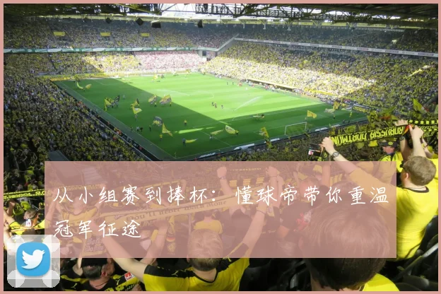 从小组赛到捧杯：懂球帝带你重温冠军征途