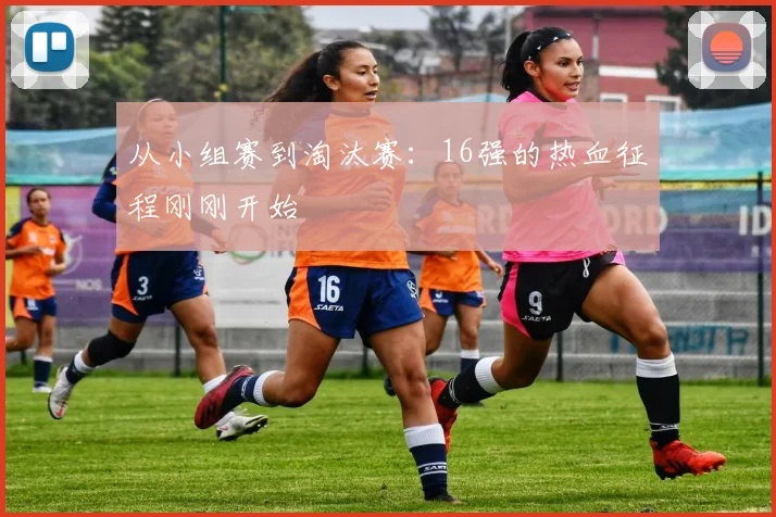 从小组赛到淘汰赛:16强的热血征程刚刚开始