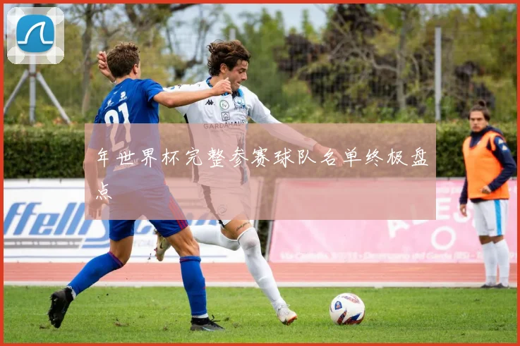 年世界杯完整参赛球队名单终极盘点