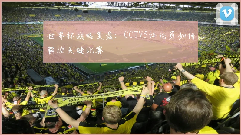 世界杯战略复盘：CCTV5评论员如何解读关键比赛